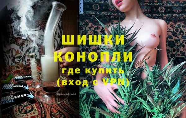 ГАЛЛЮЦИНОГЕННЫЕ ГРИБЫ Медвежьегорск