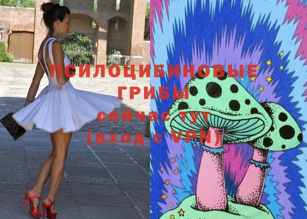 ГАЛЛЮЦИНОГЕННЫЕ ГРИБЫ Медвежьегорск