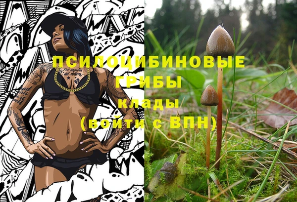 марки nbome Магас