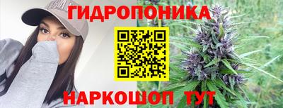 марихуана Заводоуковск