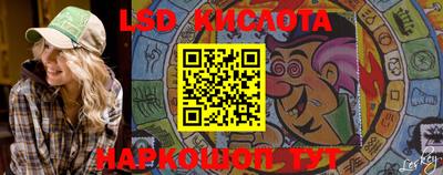 гидра Заволжье