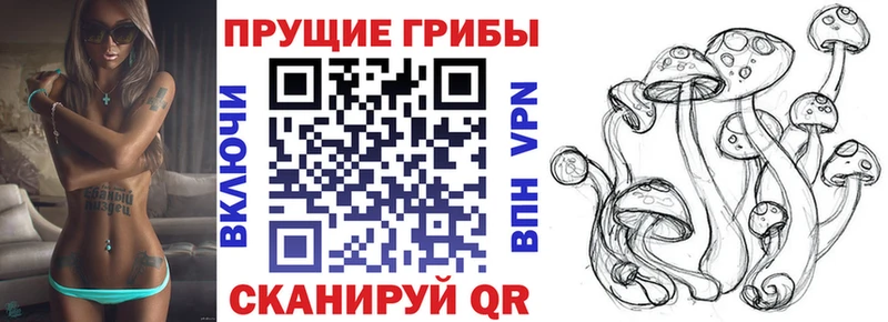 Галлюциногенные грибы мицелий  Подольск 