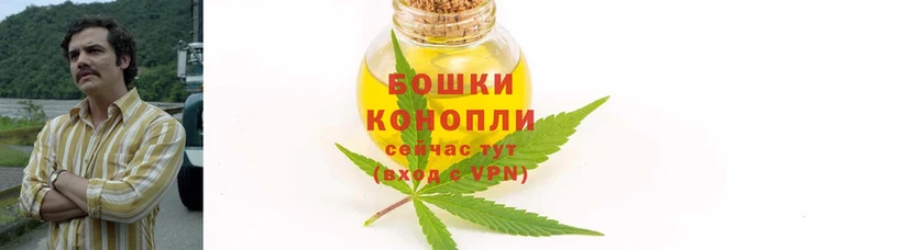 mega   Подольск  Конопля Ganja 